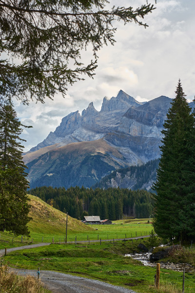 Barme-Dents-du-Midi-Automne-2 Faune et flore alpines