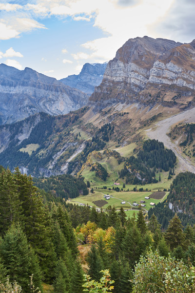 Barme-Dents-du-Midi-Automne-3 Faune et flore alpines