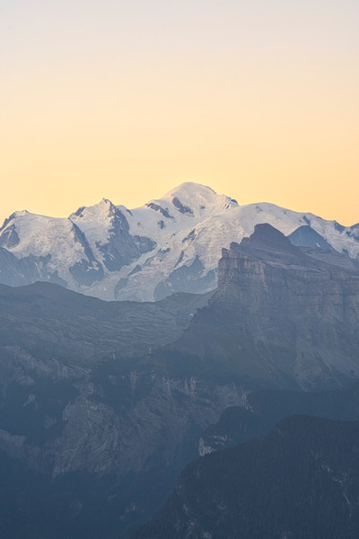 mont-blanc Flore alpine