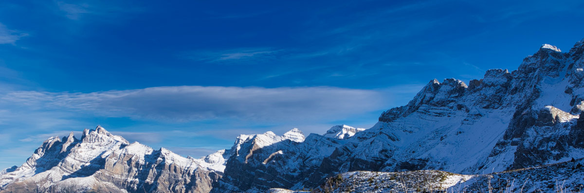 paysage-coldecou Flore alpine